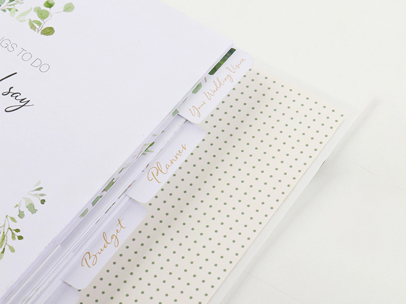 Innovation in Notebook Applications, Rise of Interactive Design in Education