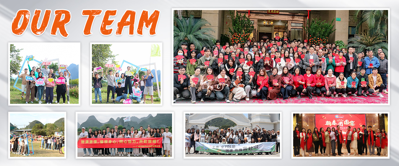 Our Team
