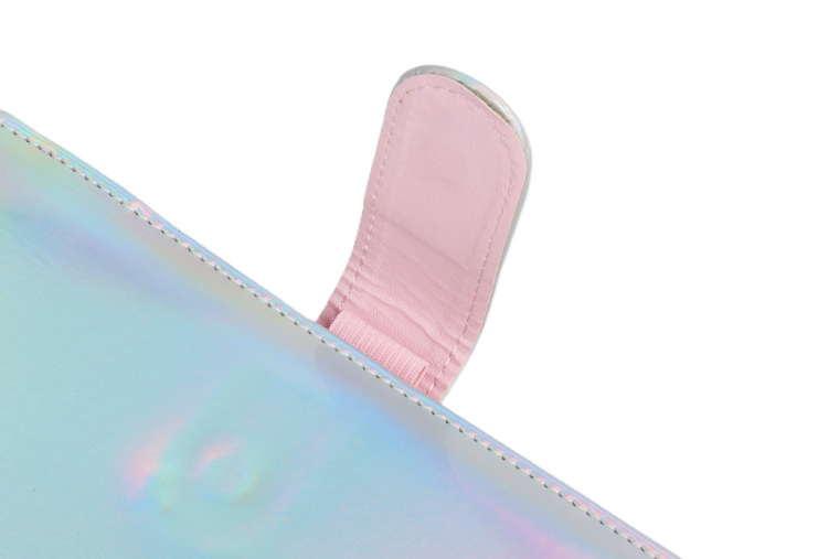 Magnetic Buckle-1