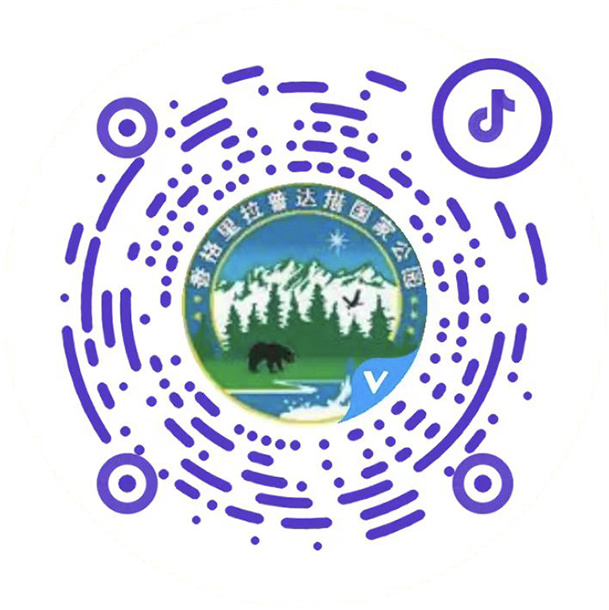 图片名称