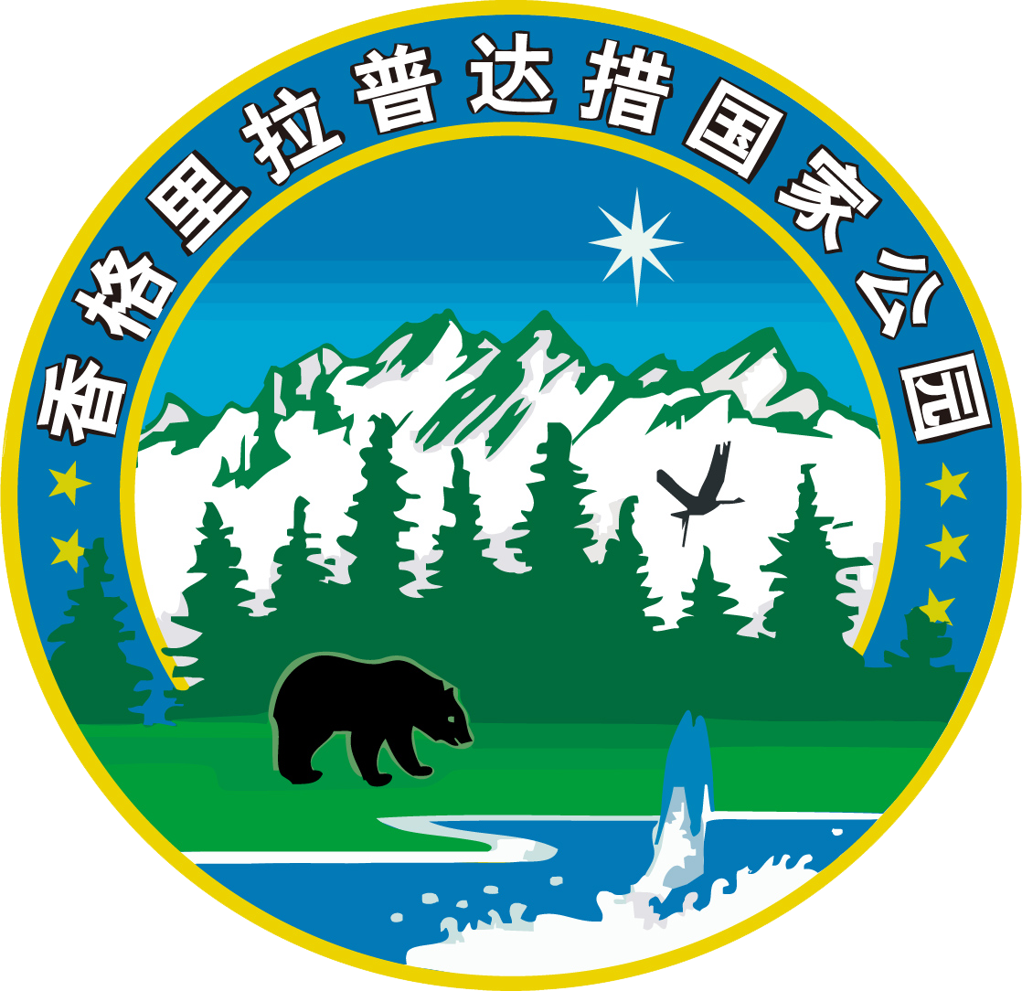 网站首页