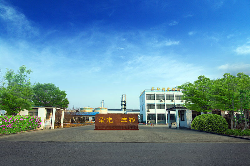 公司簡介
