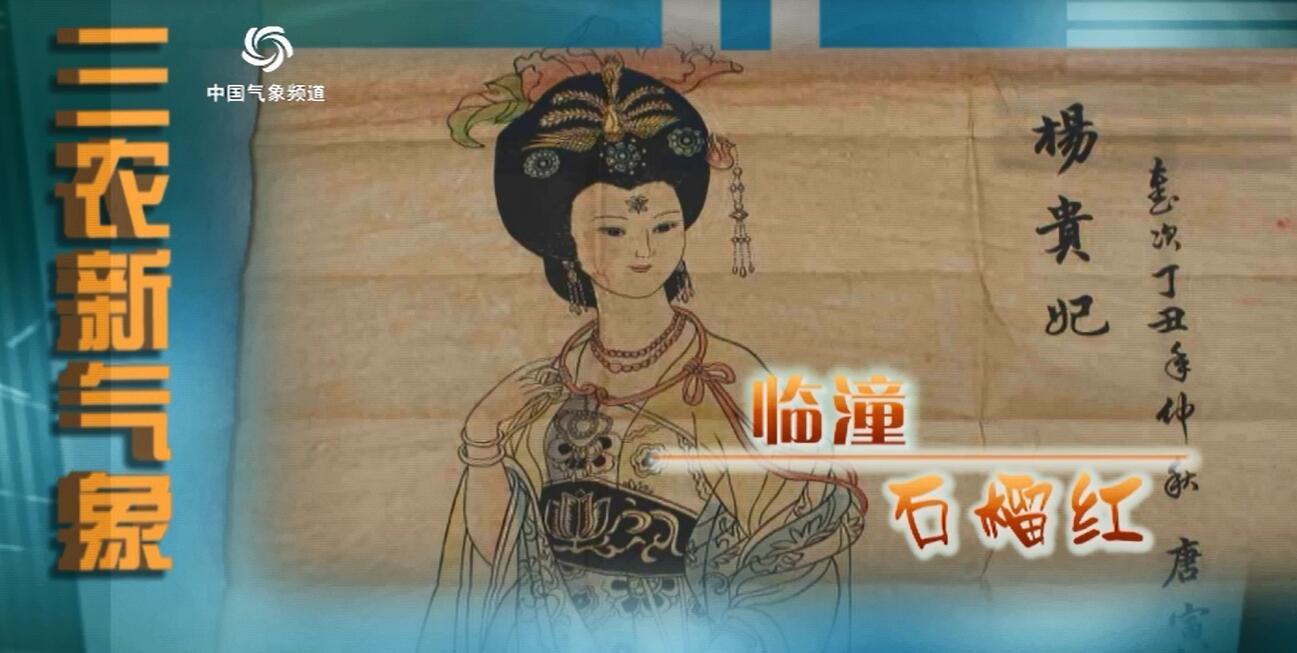 中國氣象頻道下