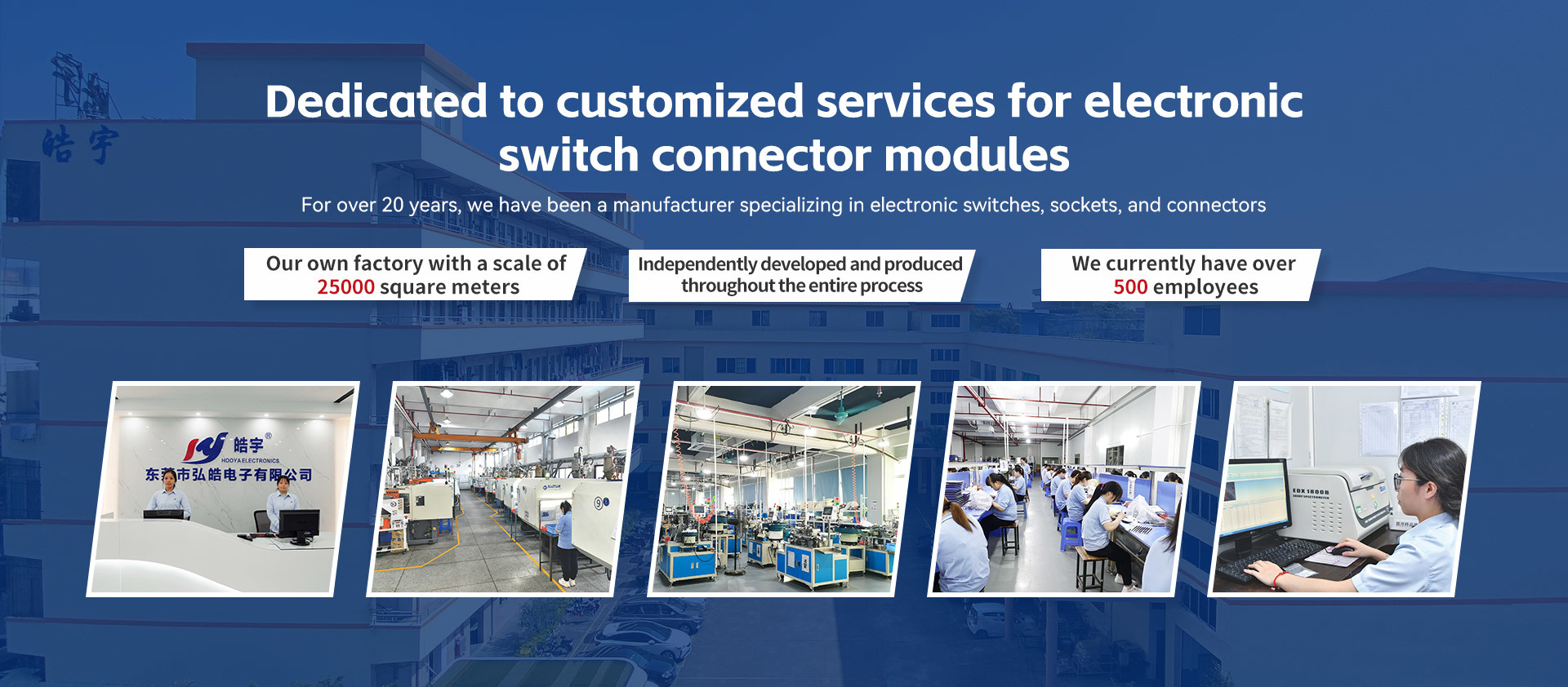Committed to customized services for electronic switches and connector modules