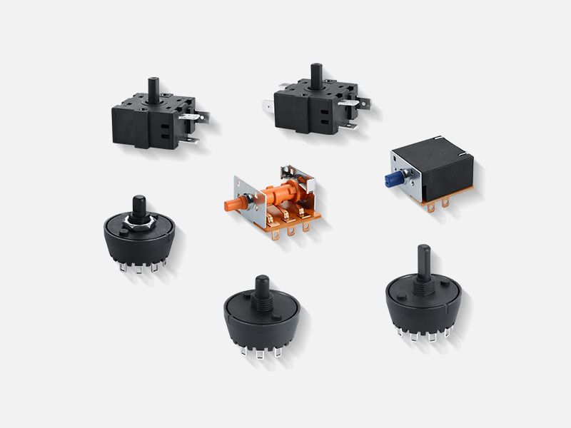 Rotary Power Switch