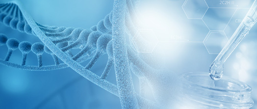 Macromolecule Polymerization Macromolecule Polymerization