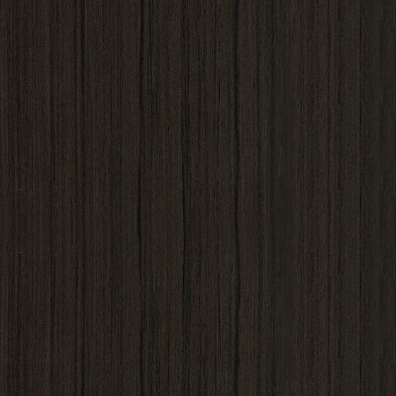 SK1009
