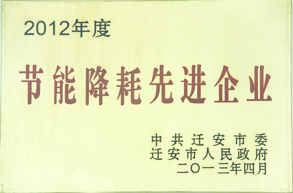 節(jié)能降耗先進(jìn)企業(yè) 節(jié)能降耗先進(jìn)企業(yè)