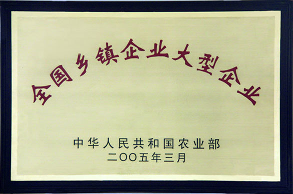 全國鄉(xiāng)鎮(zhèn)企業(yè)大型企業(yè) 全國鄉(xiāng)鎮(zhèn)企業(yè)大型企業(yè)