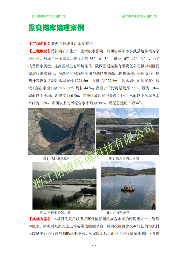 污水湖治理工程案例