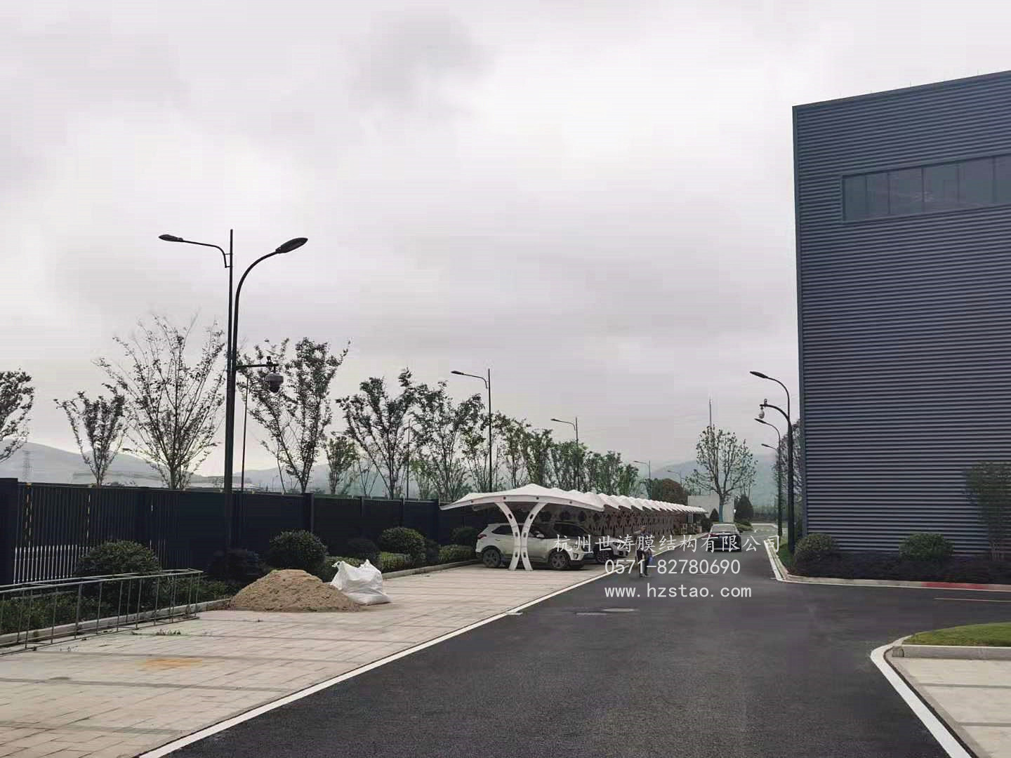 世涛