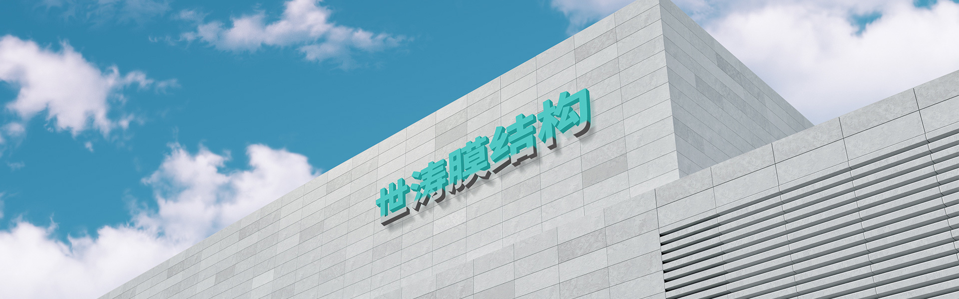 —— 关于世涛