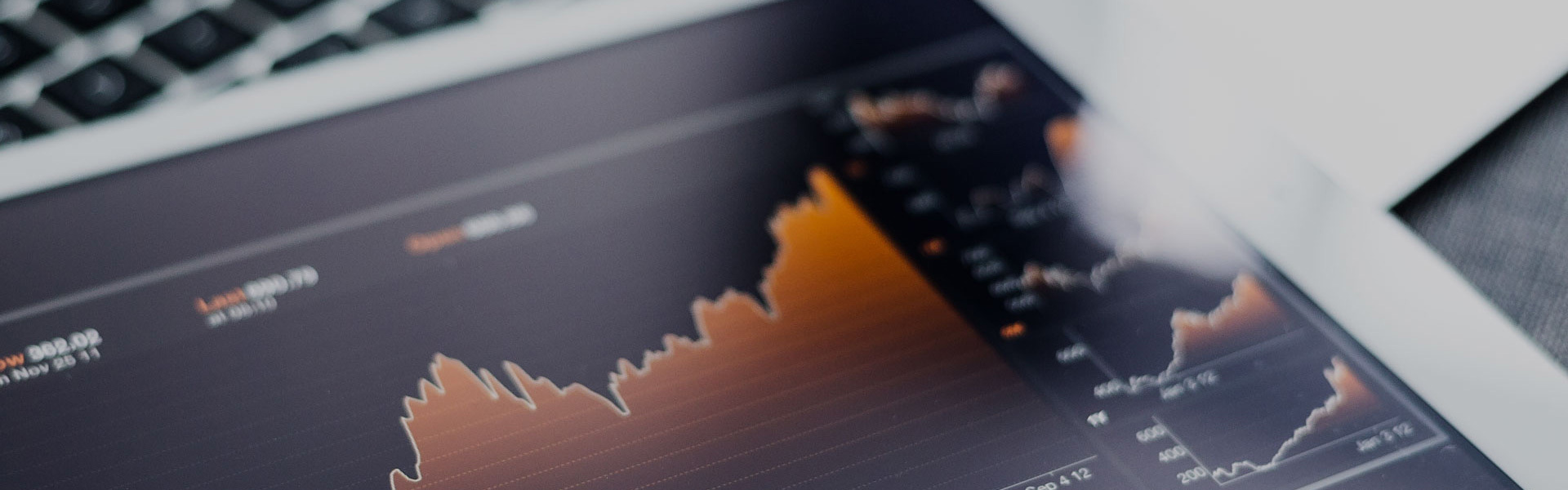 Investor Relations