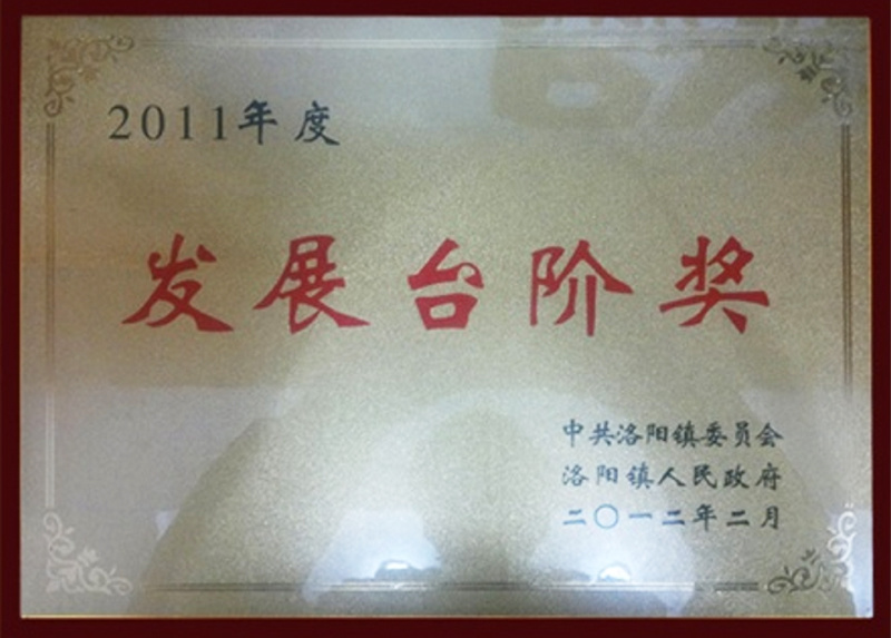 Development Steps Award