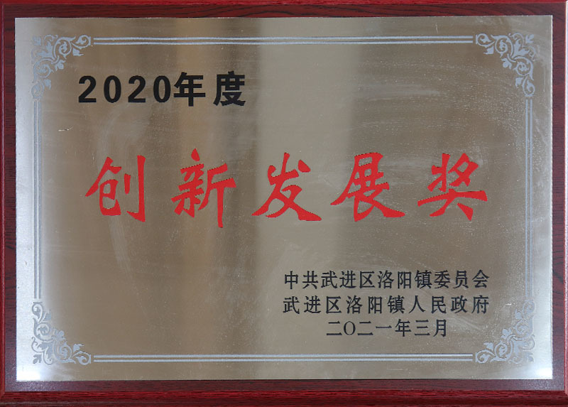 创新发展奖