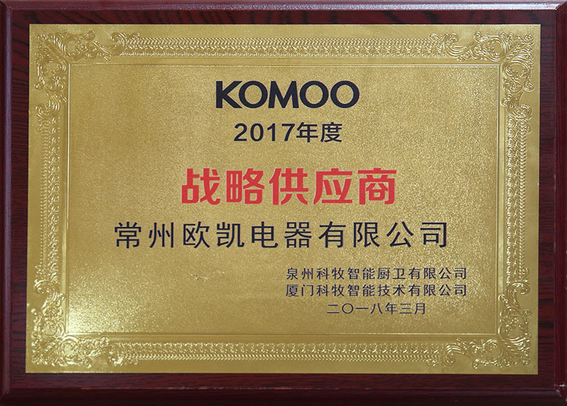 Strategic supplier