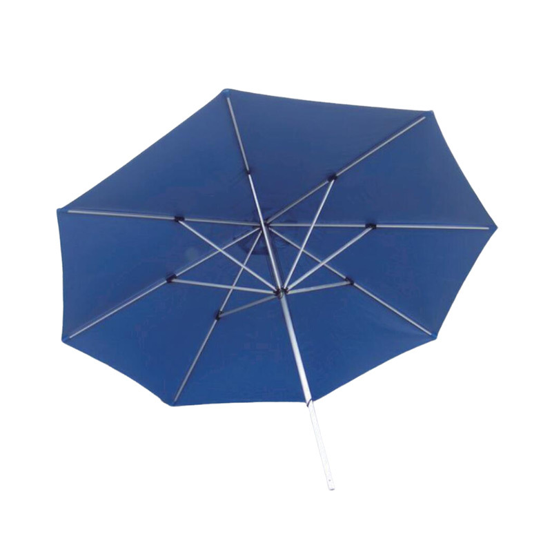The Umbrellas