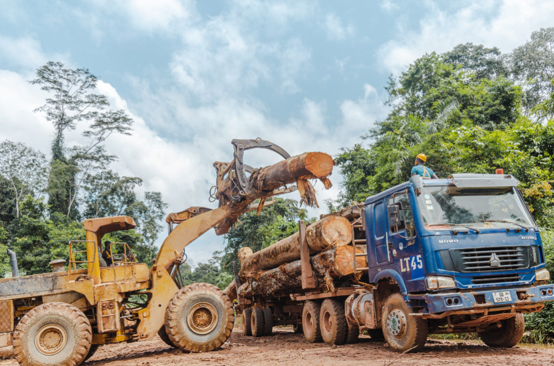 A license to ensure smooth passage of timber? This African country has made it happen!
