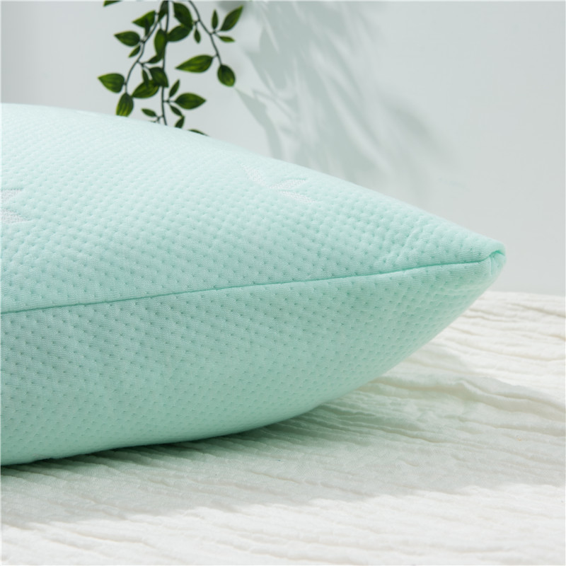 ORT2LY09 tencel pillow (OKO BSCI)