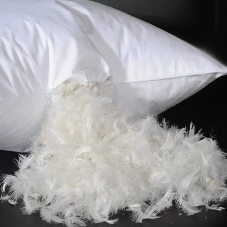 ORT1LK24： duck feather 2-4cm, 4-6cm（BSCI OKO DOWNPASS RDS）