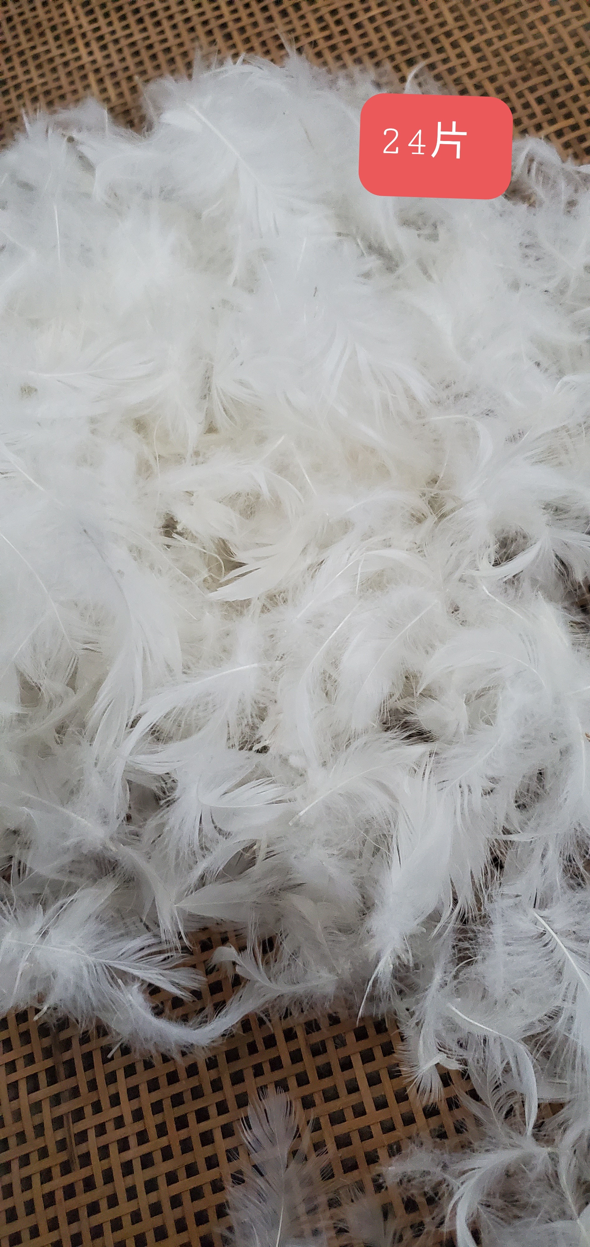 ORT1LK24： duck feather 2-4cm, 4-6cm（BSCI OKO DOWNPASS RDS）