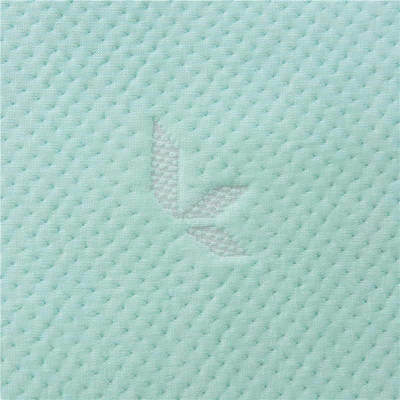 ORT2LY09 tencel pillow (OKO BSCI)