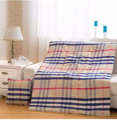 ORT2AL6：2 in 1 blanket in cushion