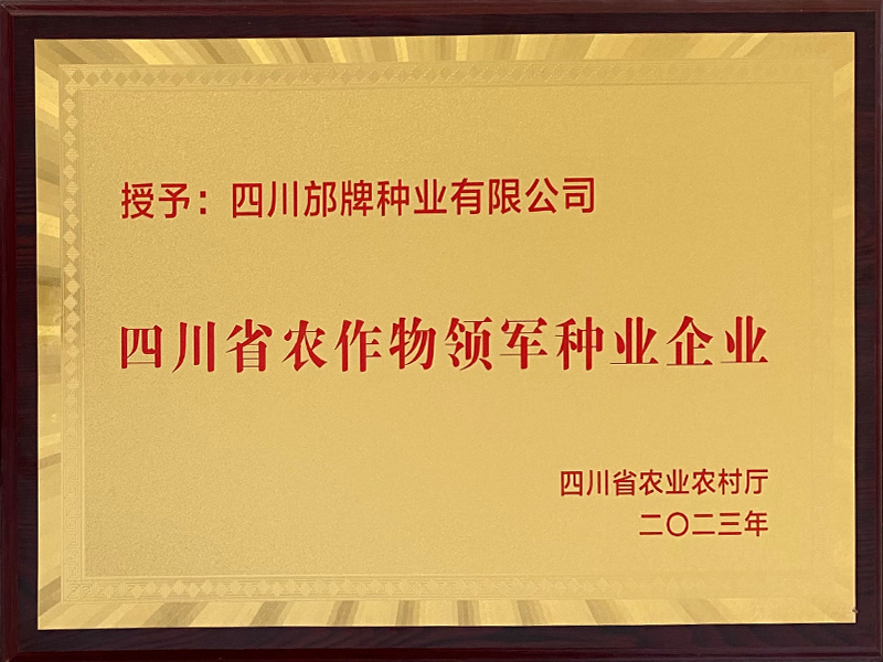 领军企业