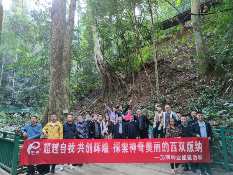 团建4
