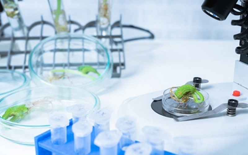 分子标记育种实验室