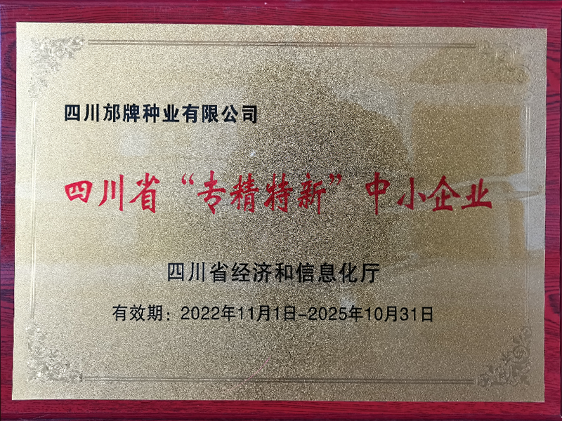 专精特新（2022-2025）