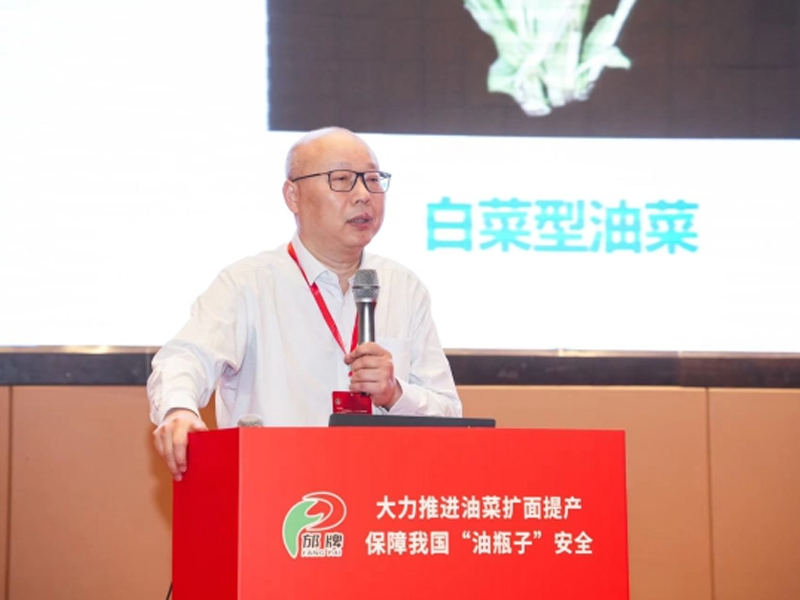 伍晓明