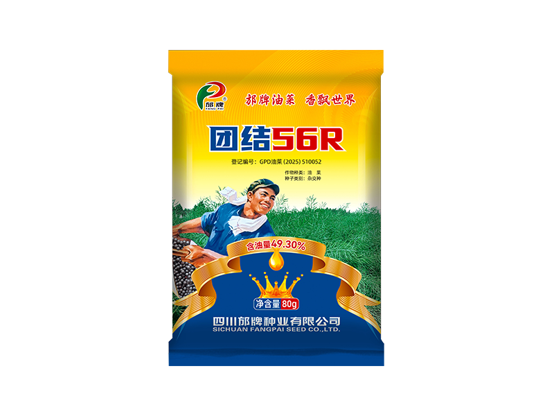 团结56R