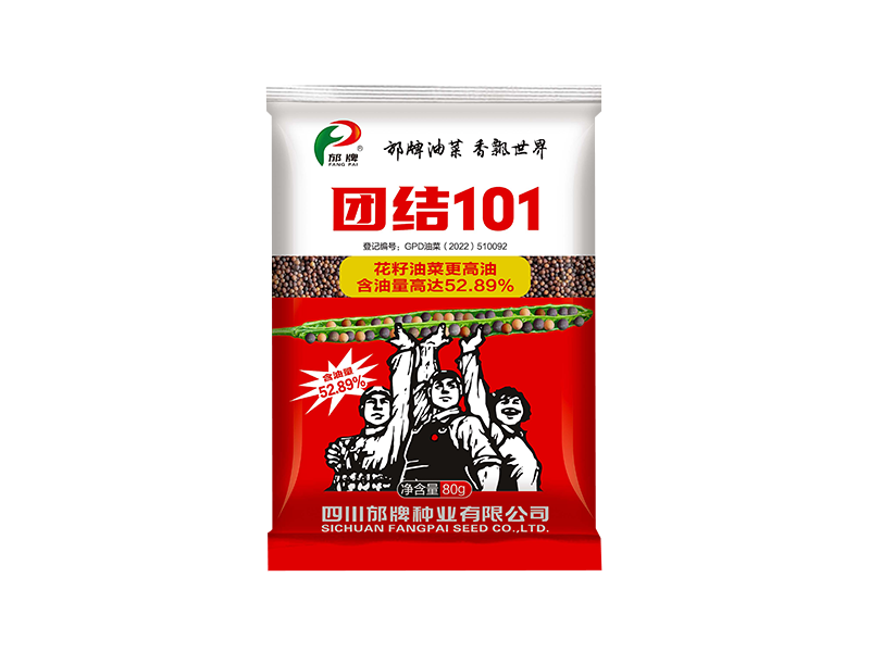团结101(80g）
