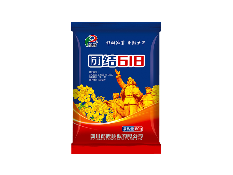 团结618(80g）