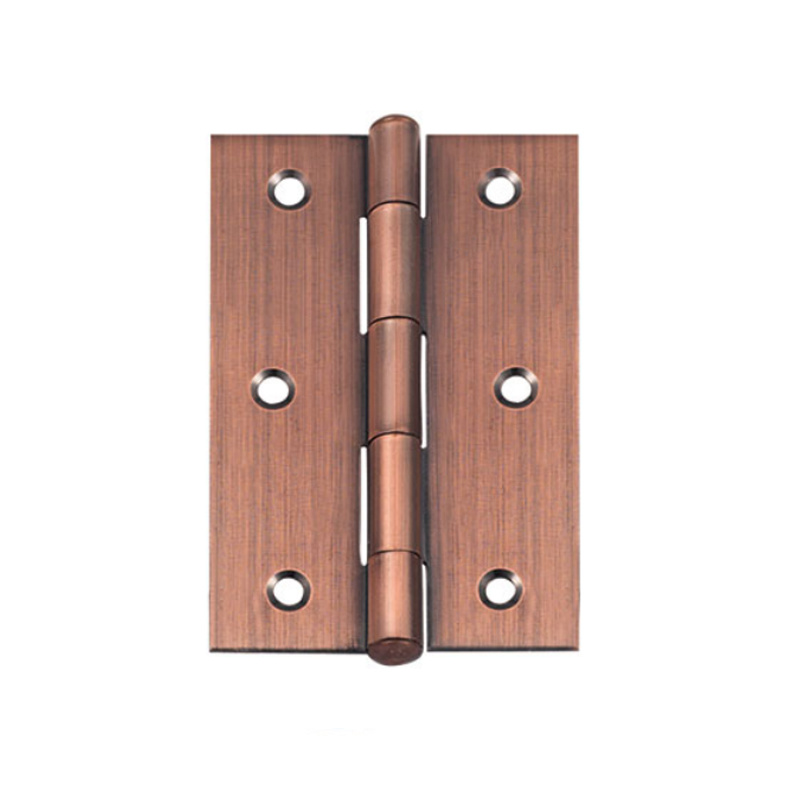 TP-001 (Iron flush non axis hinge)