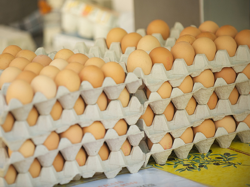 Poultry and egg breeding packaging