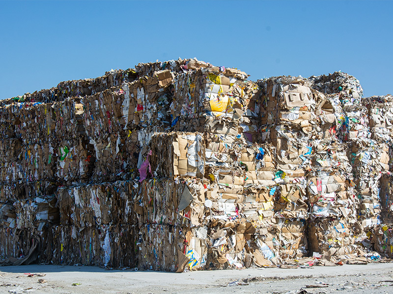 Agricultural waste recycling