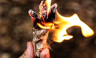 Using a torch while camping can provide lighting, deter wild animals, and enhance the camping atmosphere.