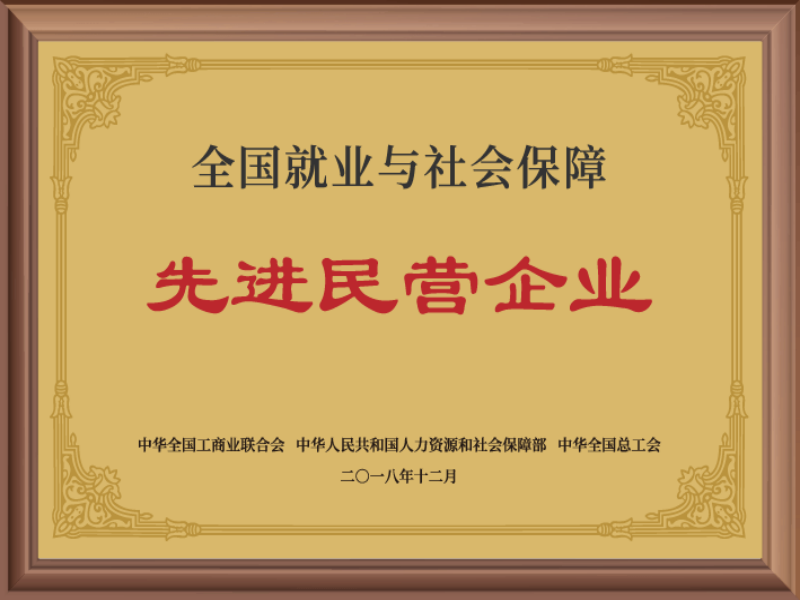 先进民营