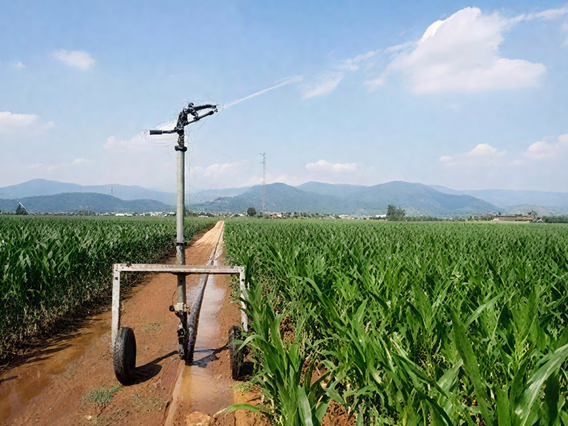 Hose Fed Travelling Sprinkler Machine