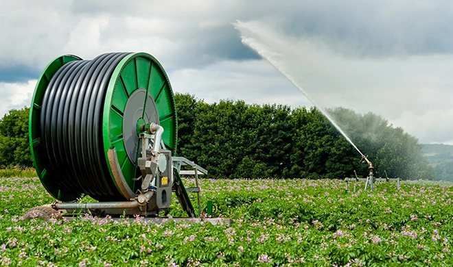 Yihe Agricultural Technology Co., Ltd. Yihe Agricultural Technology Co., Ltd.