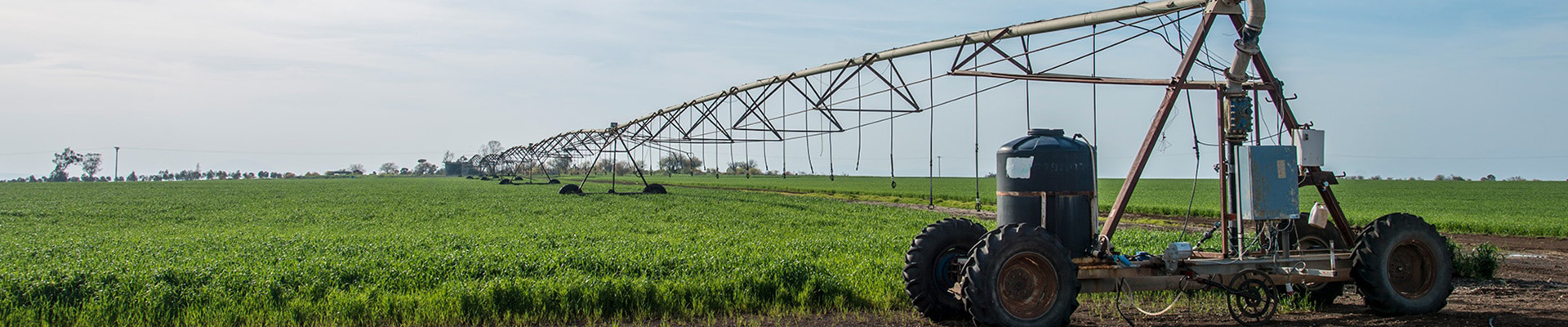 Shandong Yihe Agricultural Technology Co., Ltd.