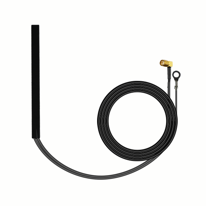 Glass amplifier antenna
