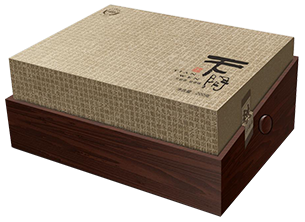 天问系列