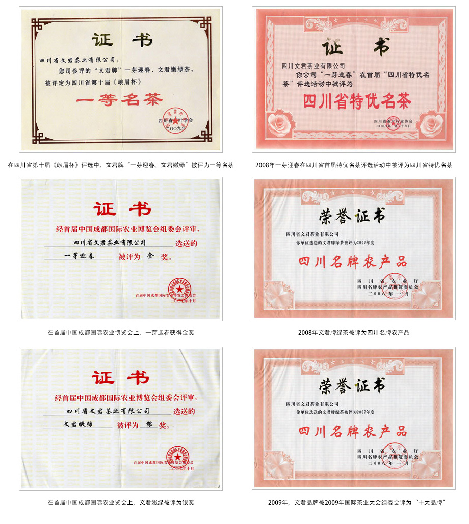 公司荣誉