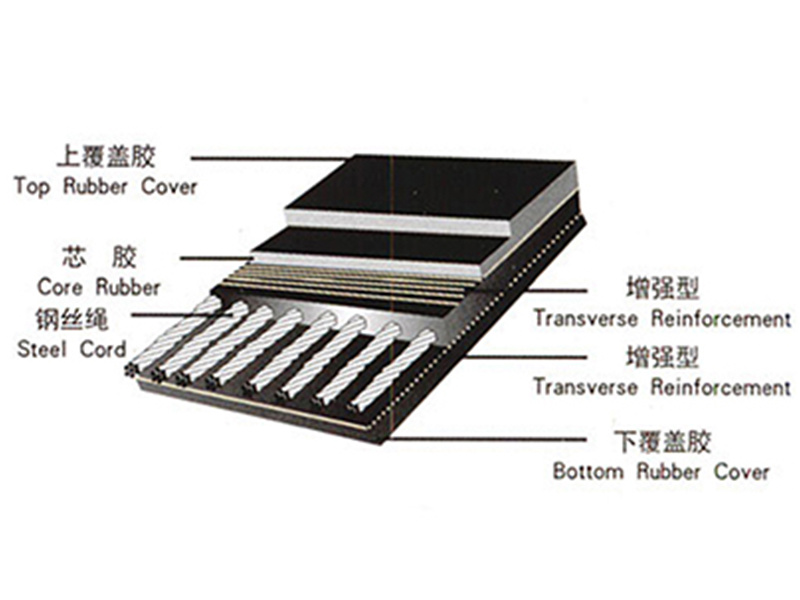 Steel cord conveyor belt