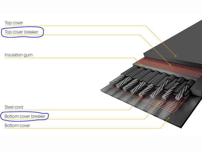 Elevator conveyor belt