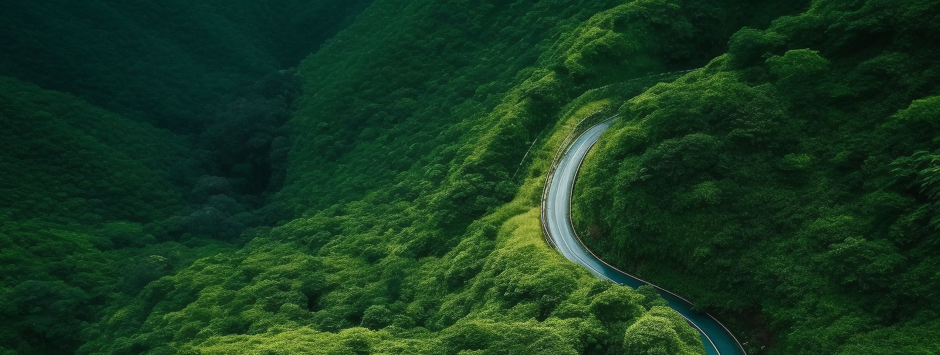联系我们