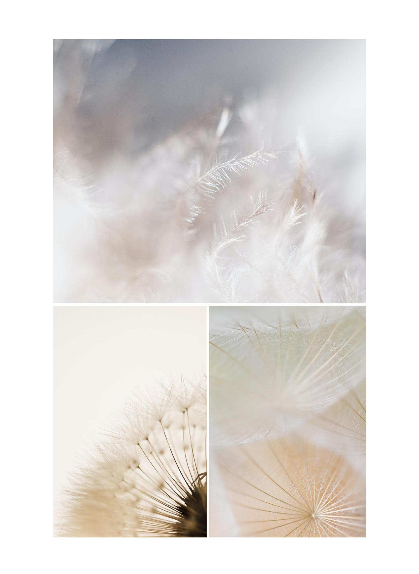 M.ORO CASHMERE LITHE